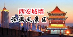 美女黄片干逼视频。中国陕西-西安城墙旅游风景区