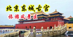 日逼免费网中国北京-东城古宫旅游风景区